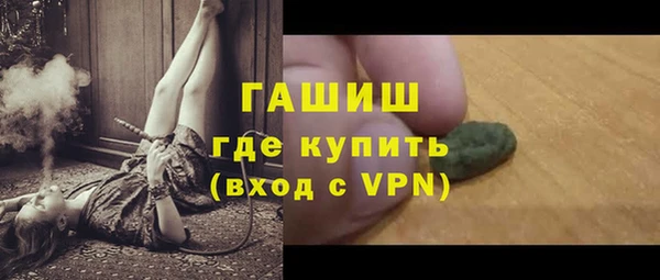 хмурый Каменка