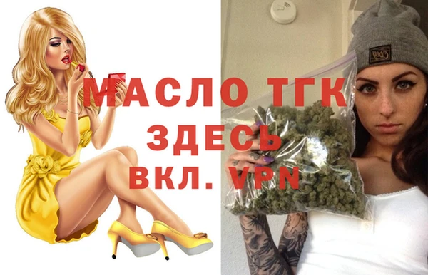 хмурый Каменка