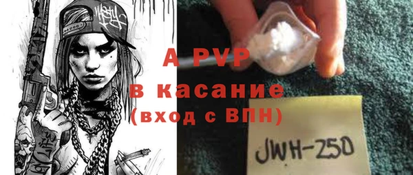 ешки Каменногорск
