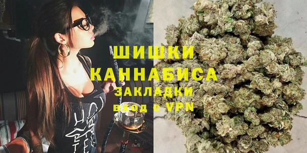 хмурый Каменка